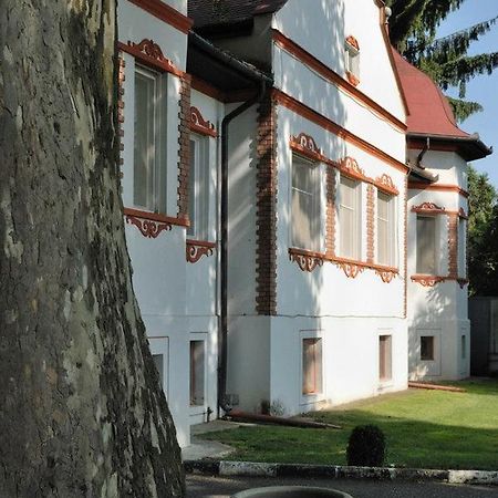 Kastélyszálló Mátészalka Exterior foto