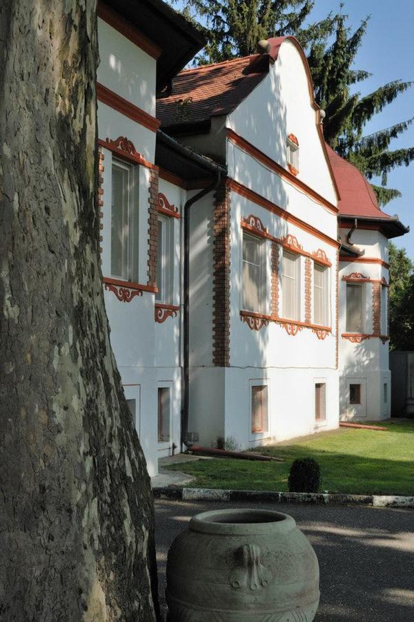 Kastélyszálló Mátészalka Exterior foto
