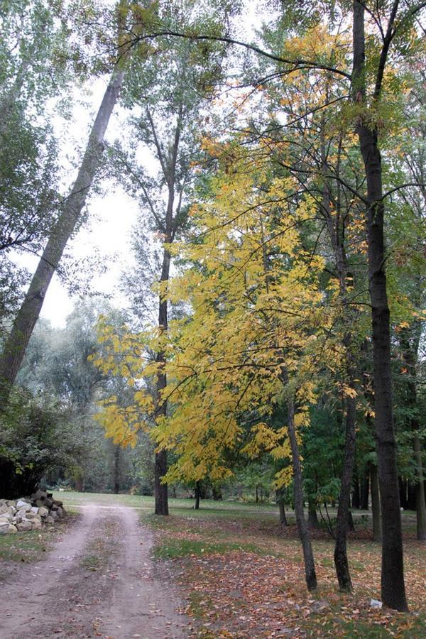Kastélyszálló Mátészalka Exterior foto
