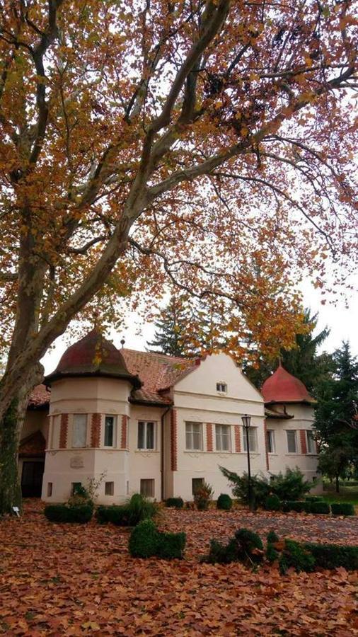 Kastélyszálló Mátészalka Exterior foto